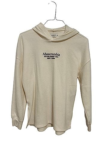 Abercrombie & Fitch Pullover Hoodie (view 1)