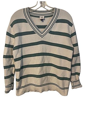CAbi Pullover Sweater (view 1)