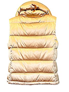 Talbots Vest (view 2)