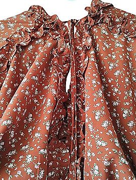 Storia Rust Floral Maxi Dress With Ruffle Vneck Casual Dress (view 2)