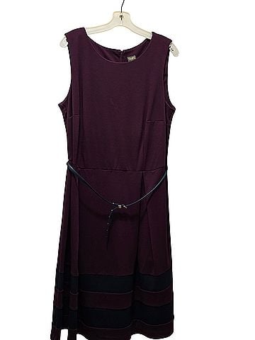 Taylor Fit and Flare dress with black strips and belt Casual Dress (view 1)
