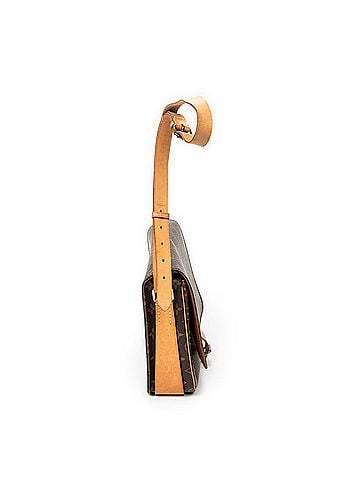 Louis Vuitton Cartouchiere GM (view 2)