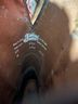 Justin Brown Boots Size 8 - photo 3