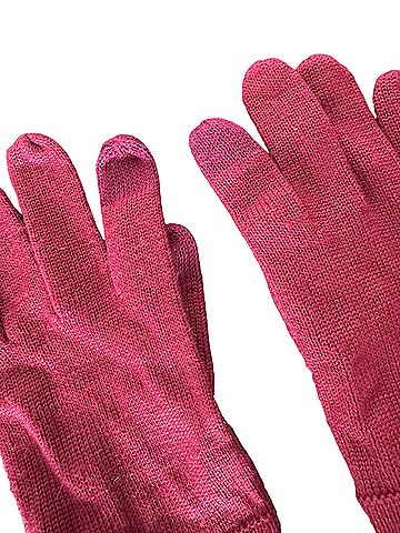 Coach Gloves (view 2)