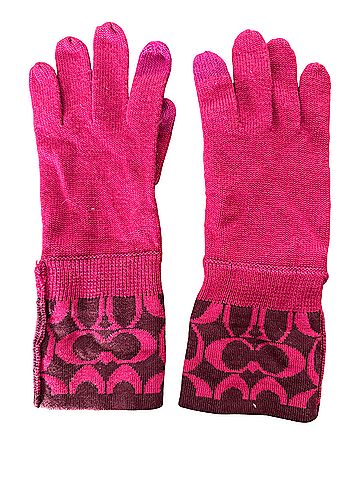 Coach Gloves (view 1)