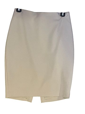 Express Formal Skirt (view 2)