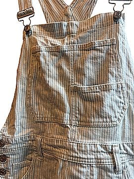 Daze Overall Shorts (view 2)