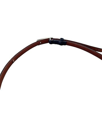 Coach Belt (view 2)