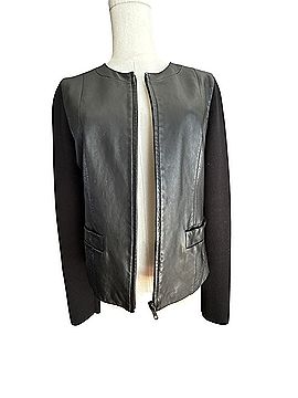 Classiques Entier Leather Jacket (view 1)