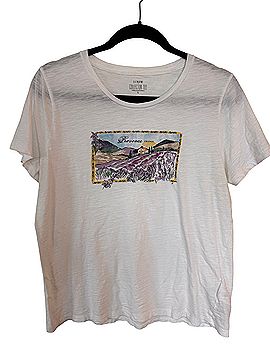 J.Crew Short Sleeve Blouse (view 1)