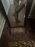 Gianni Bini 100% Calf Leather Leopard Print Multi Color Boots Size 6 1/2 - photo 7