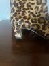 Gianni Bini 100% Calf Leather Leopard Print Multi Color Boots Size 6 1/2 - photo 5