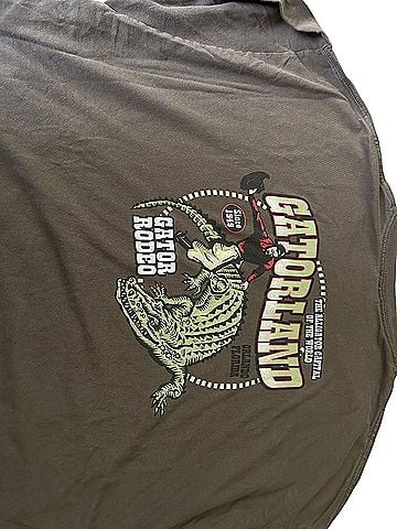 Gildan Short Sleeve T-Shirt (view 2)