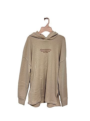 Abercrombie & Fitch Pullover Hoodie (view 1)