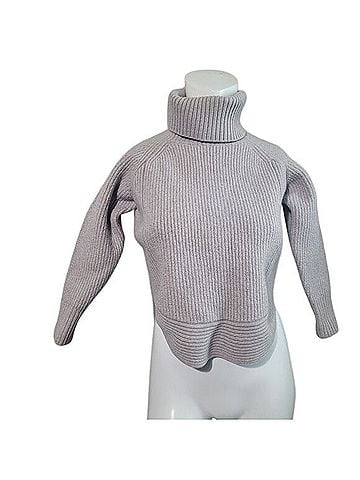 Wilfred Wilfred Free Turtleneck Sweater (view 1)