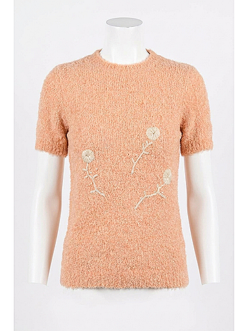 Fate Short Sleeve Embroidered Sweater in Sherbet (view 1)