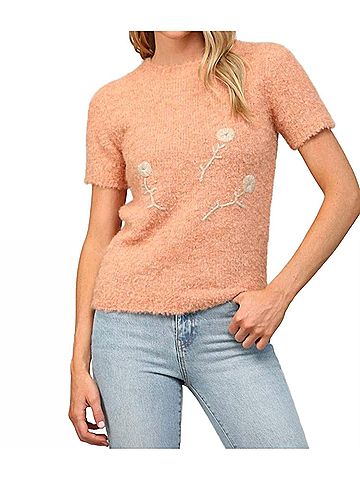 Fate Short Sleeve Embroidered Sweater in Sherbet (view 2)