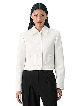 Aritzia Ashfield Jacket (view 1)