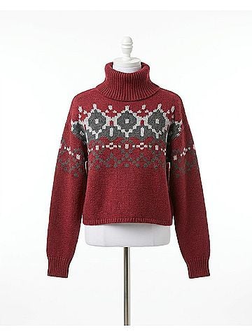 Tentree Moray Turtleneck Sweater in Crimson Heather/Dark Grey (view 1)