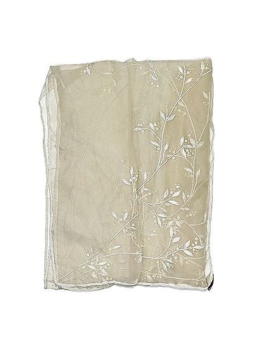 Adrienne Landau Silk Scarf (view 2)