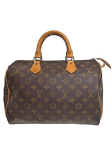 Louis Vuitton Speedy Monogram Canvas Brown Canvas Handbag (view 1)