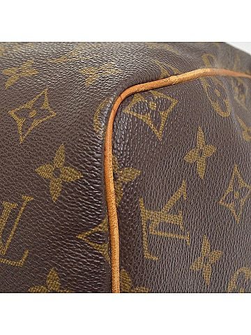Louis Vuitton Speedy Monogram Canvas Brown Canvas Handbag (view 2)