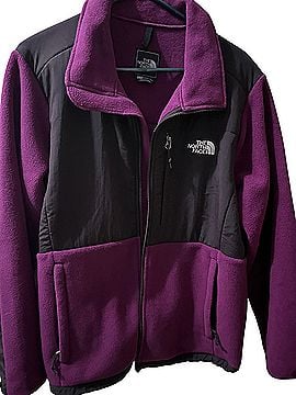 The North Face Fleece (view 1)