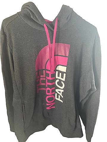 The North Face Pullover Hoodie (view 1)