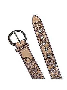 Fossil Belt (view 2)