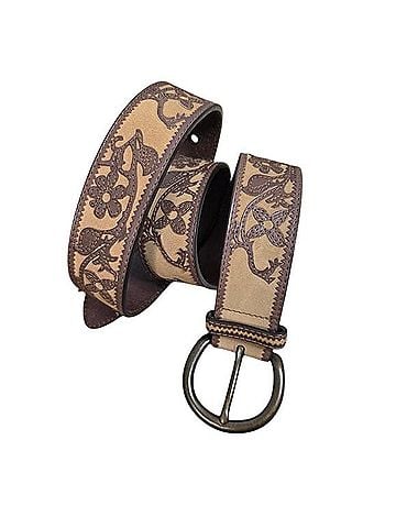 Fossil Belt (view 1)