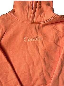 Comfrt Pullover Hoodie (view 2)