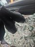 Vionic Black Ankle Boots Size 11 - photo 5