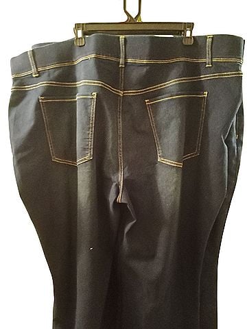 Terra & Sky Jeggings (view 2)