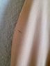 Willow Ridge Tan Jacket Size XXL - photo 10