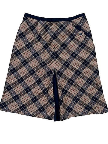 Pendleton Wool Skirt (view 1)