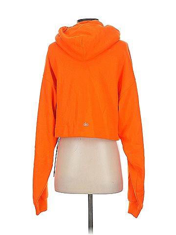 Alo Yoga Alo Yoga Sweatshirt (view 2)