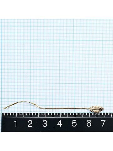 Unbranded K10 10K YG Yellow Gold Earrings, Total Weight 0.8g, Jewelry (view 2)