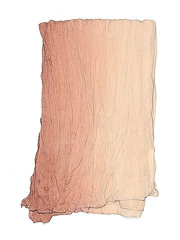 Cappelli Cappelli Scarf (view 2)