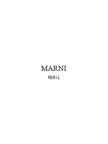 MARNI Stripe Alpaca Wool Scarf (view 2)