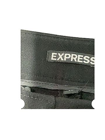 Express Dress Pants (view 2)
