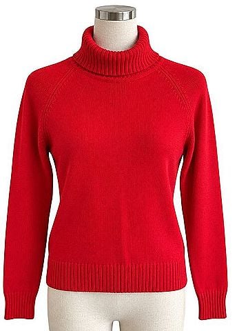 Jeanne Pierre Turtleneck Sweater (view 1)