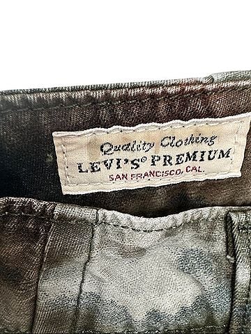 Levi's Cargo Pants (view 2)