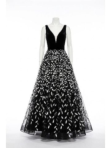 Abby Paris Velvet Floral Gown in Black (view 1)