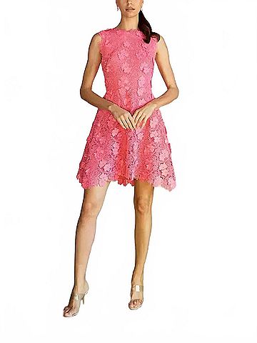 Monique Lhuillier Jewel Neck Lace Dress in French Rose (view 2)