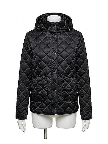 Adroit Atelier Women's Shelby Quilted Hooded Jacket in Black (view 1)