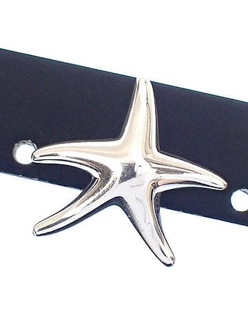 Tiffany & Co. Tiffany &amp; Co. Starfish Earrings for Women, SV925, 3.5g, Silver (view 2)