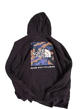 The North Face Pullover Hoodie (view 2)