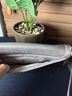 Coach Silver Leather Clutch One size - photo 9