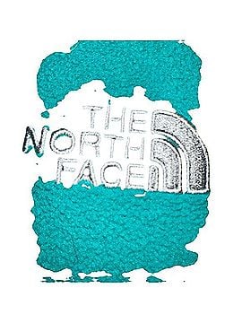 The North Face Polartec Classic Jacket (view 2)