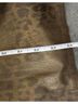 IC Collection Animal Print Gold Brown Coat Size L - photo 7